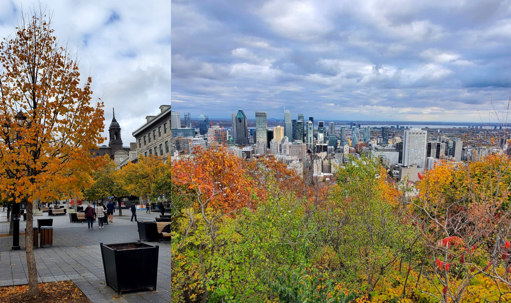 Montreal Nature Photograph