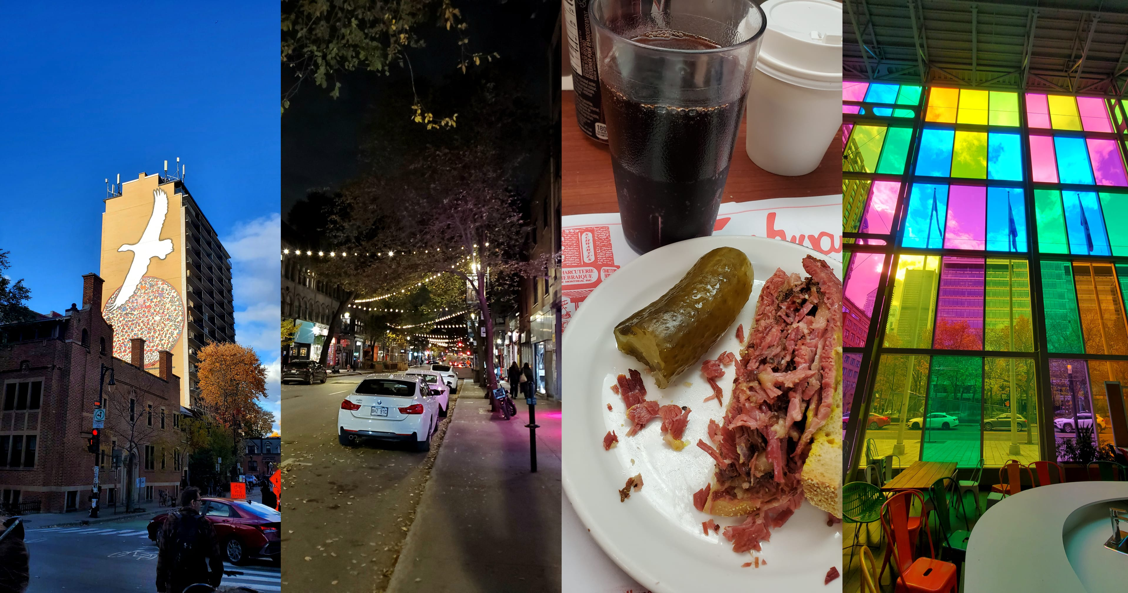 Montreal Nature Photograph